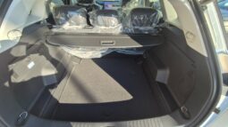 
										JAECOO 7 DCT PREMIUM (TETTO APRIBILE) completo									