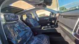 
										JAECOO 7 DCT PREMIUM (TETTO APRIBILE) completo									