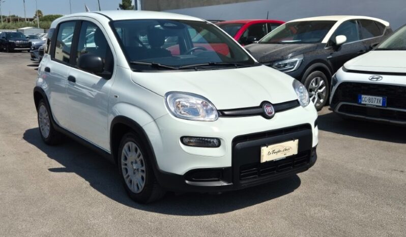 
								Fiat panda HYBRID PANDINA 2024 completo									