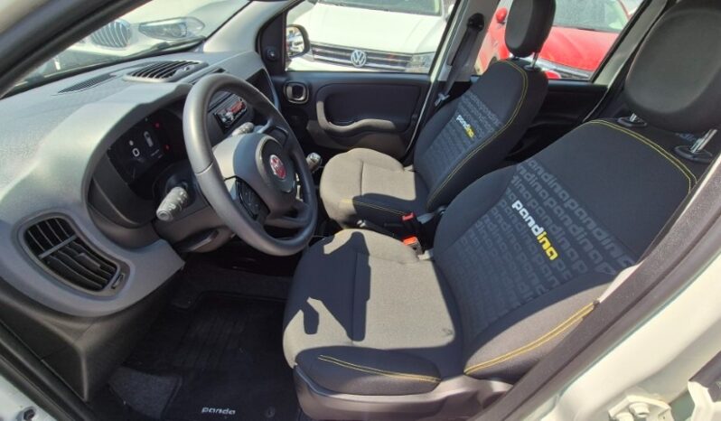 
								Fiat panda HYBRID PANDINA 2024 completo									