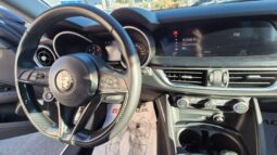 
										ALFA R. Stelvio 2019 completo									