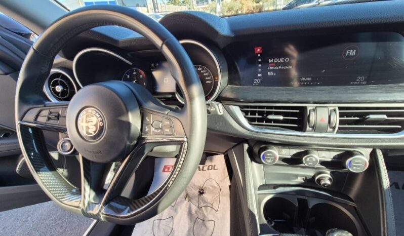 
								ALFA R. Stelvio 2019 completo									