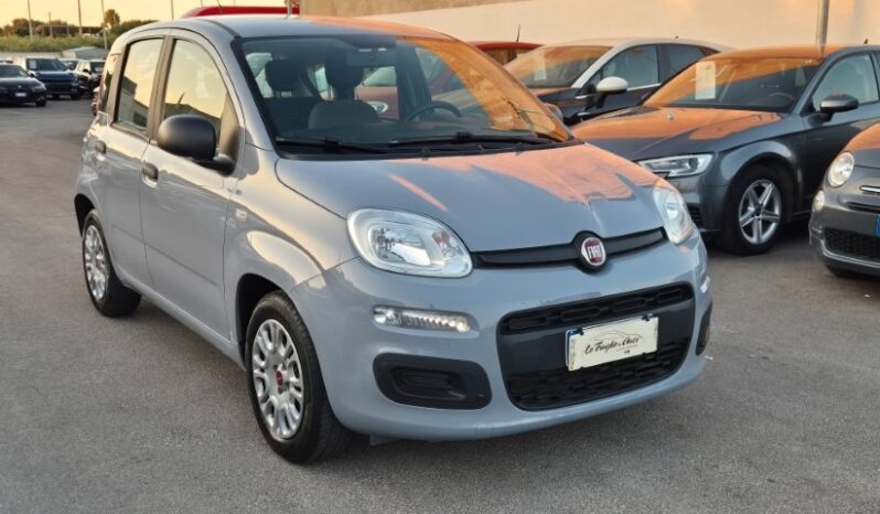
								Fiat panda 2022 completo									