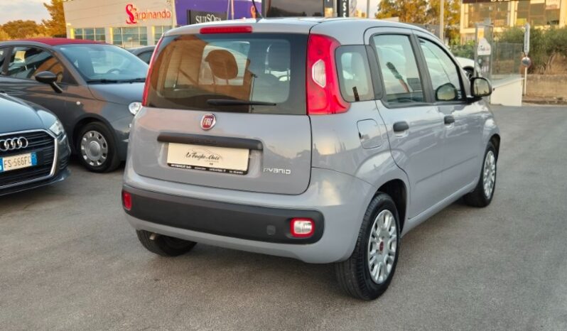 
								Fiat panda 2022 completo									