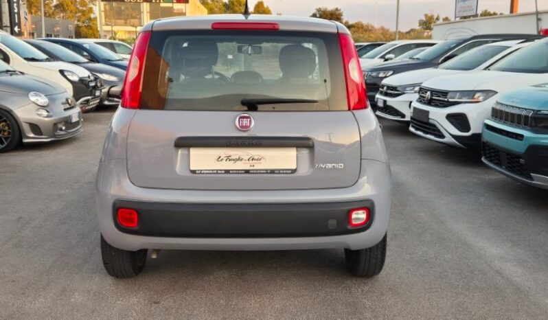 
								Fiat panda 2022 completo									