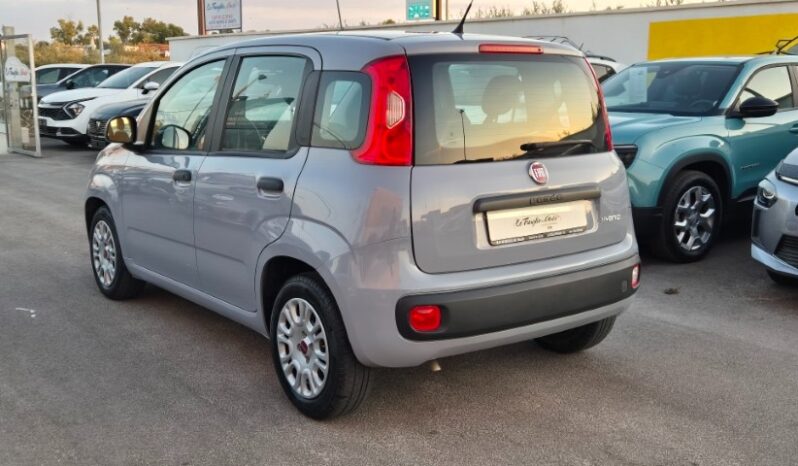 
								Fiat panda 2022 completo									