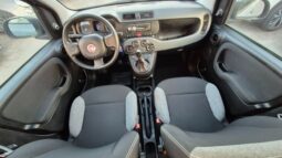 
										Fiat panda 2022 completo									