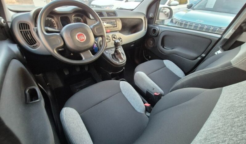 
								Fiat panda 2022 completo									
