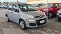 
										Fiat panda 2022 completo									