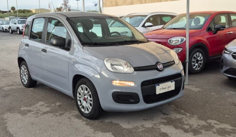 
								Fiat panda 2022 completo									