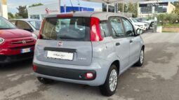 
										Fiat panda 2022 completo									