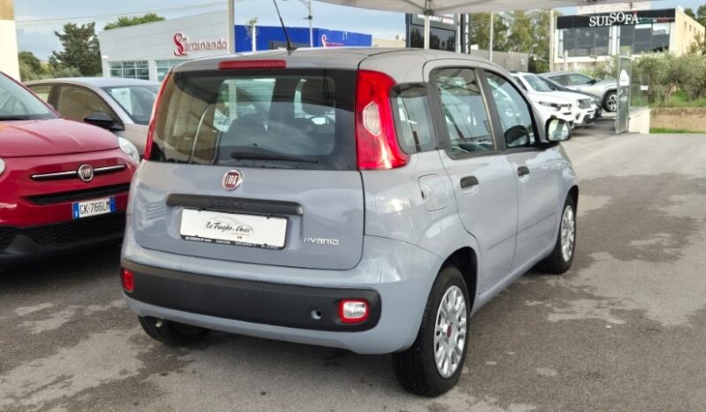 
								Fiat panda 2022 completo									