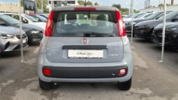 
										Fiat panda 2022 completo									