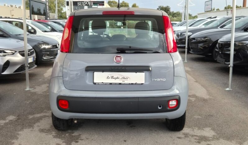 
								Fiat panda 2022 completo									