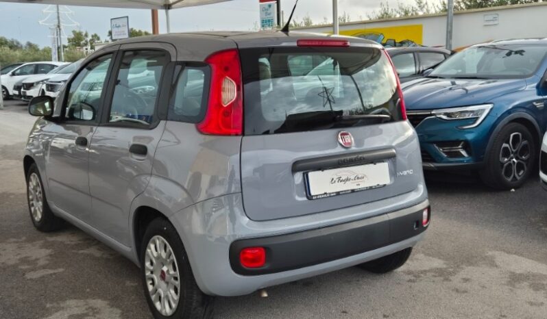 
								Fiat panda 2022 completo									