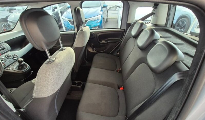 
								Fiat panda 2022 completo									