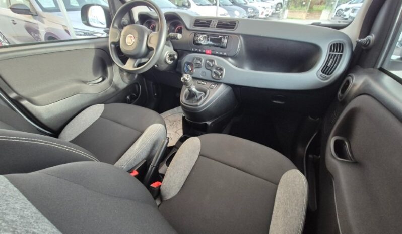 
								Fiat panda 2022 completo									