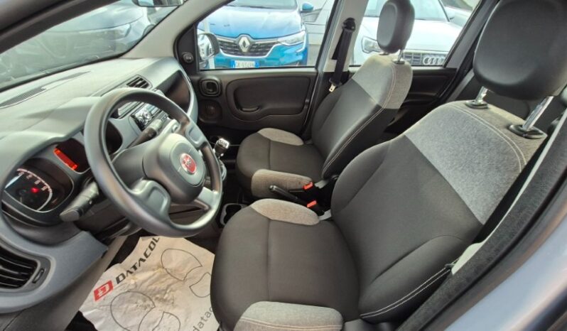 
								Fiat panda 2022 completo									