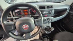 
										Fiat panda 2022 completo									