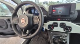 
										Fiat PANDINA HYBRID CROSS 2025 completo									
