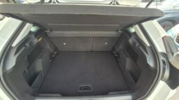 
										Citroen C4 PURETECH MAX 2024 completo									