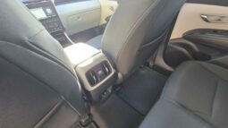 
										Hyundai TUCSON CRDI 48V EXELLENCE 2022 completo									