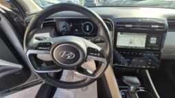 
										Hyundai TUCSON CRDI 48V EXELLENCE 2022 completo									