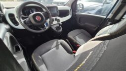 
										Fiat panda PANDINA HYBRID CROSS 2025 completo									