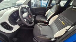 
										Fiat panda PANDINA HYBRID CROSS 2025 completo									