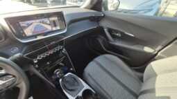 
										Peugeot 2008 ALLURE PACK 2025 completo									