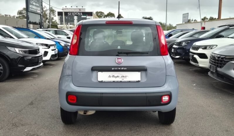 
								Fiat panda 2020 completo									