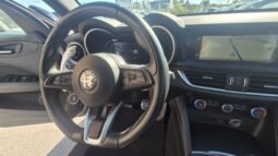 
										ALFA R. Stelvio AT8 RWD 2023 completo									