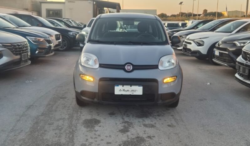 
								Fiat panda 2023 completo									