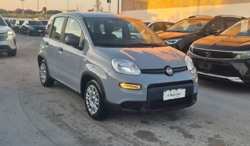 
								Fiat panda 2023 completo									