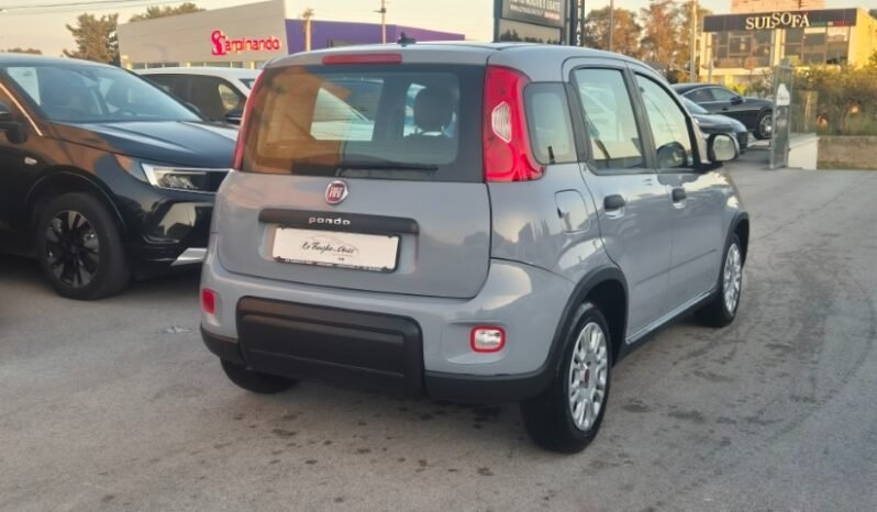 
								Fiat panda 2023 completo									