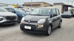 Fiat panda HYBRID CITY LIFE 2023