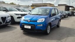 Fiat panda HYBRID 2024