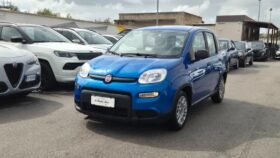 Fiat panda HYBRID 2024