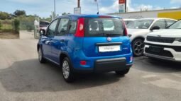 
										Fiat panda HYBRID 2024 completo									