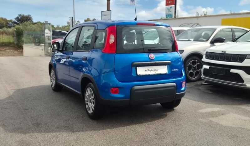 
								Fiat panda HYBRID 2024 completo									