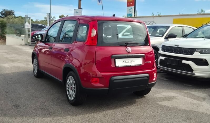 
								Fiat panda HYBRID 2024 completo									