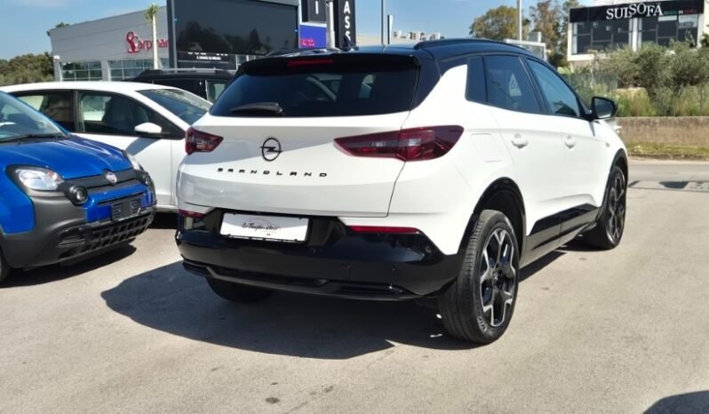 
								Opel GRANDLAND AUT. ULTIMATE 2024 completo									