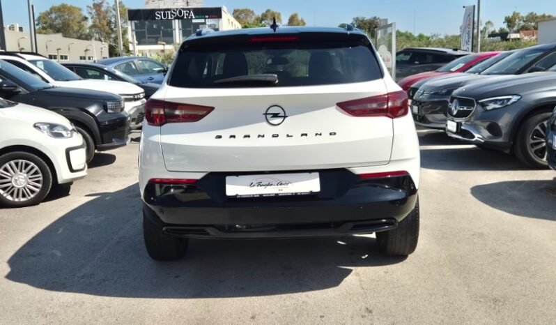 
								Opel GRANDLAND AUT. ULTIMATE 2024 completo									
