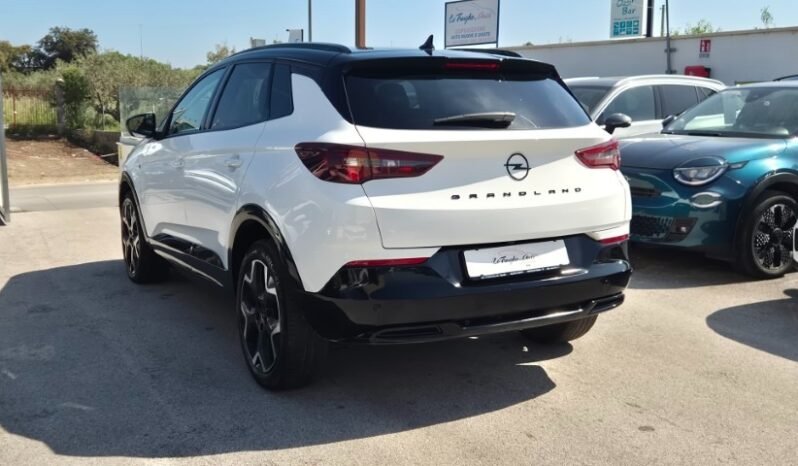 
								Opel GRANDLAND AUT. ULTIMATE 2024 completo									