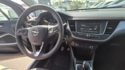 
										Opel CROSSLAND X 2018 completo									
