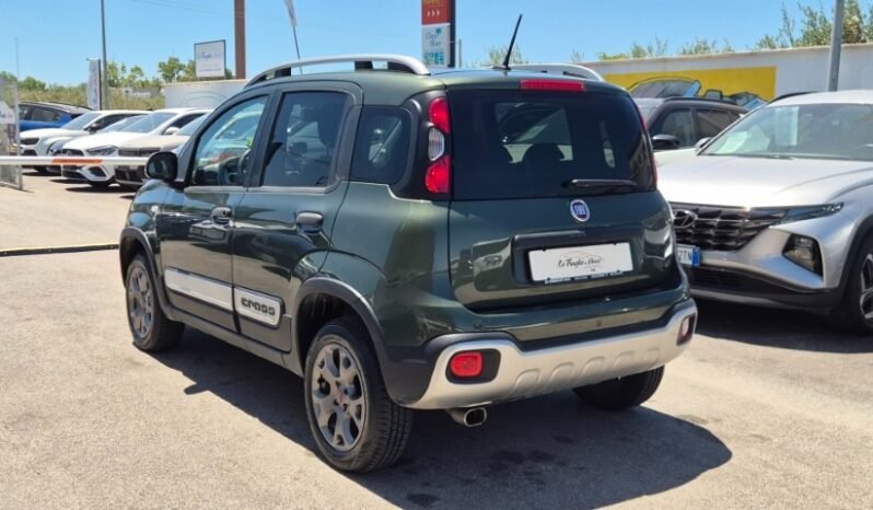 
								Fiat panda TWINAIR 4X4 CROSS 2019 completo									