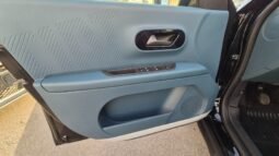 
										Fiat GRANDE PANDA ICON – PACK TECH 2026 completo									