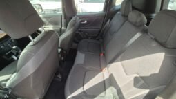 
										Jeep RENEGADE TURBO MHEV SUMMIT 2025 completo									