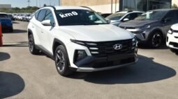
										Hyundai TUCSON CRDI MILD HYBRID DCT BUSINESS 2026 completo									
