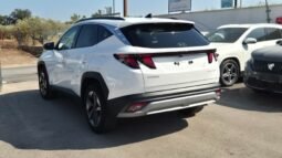 
										Hyundai TUCSON CRDI MILD HYBRID DCT BUSINESS 2026 completo									